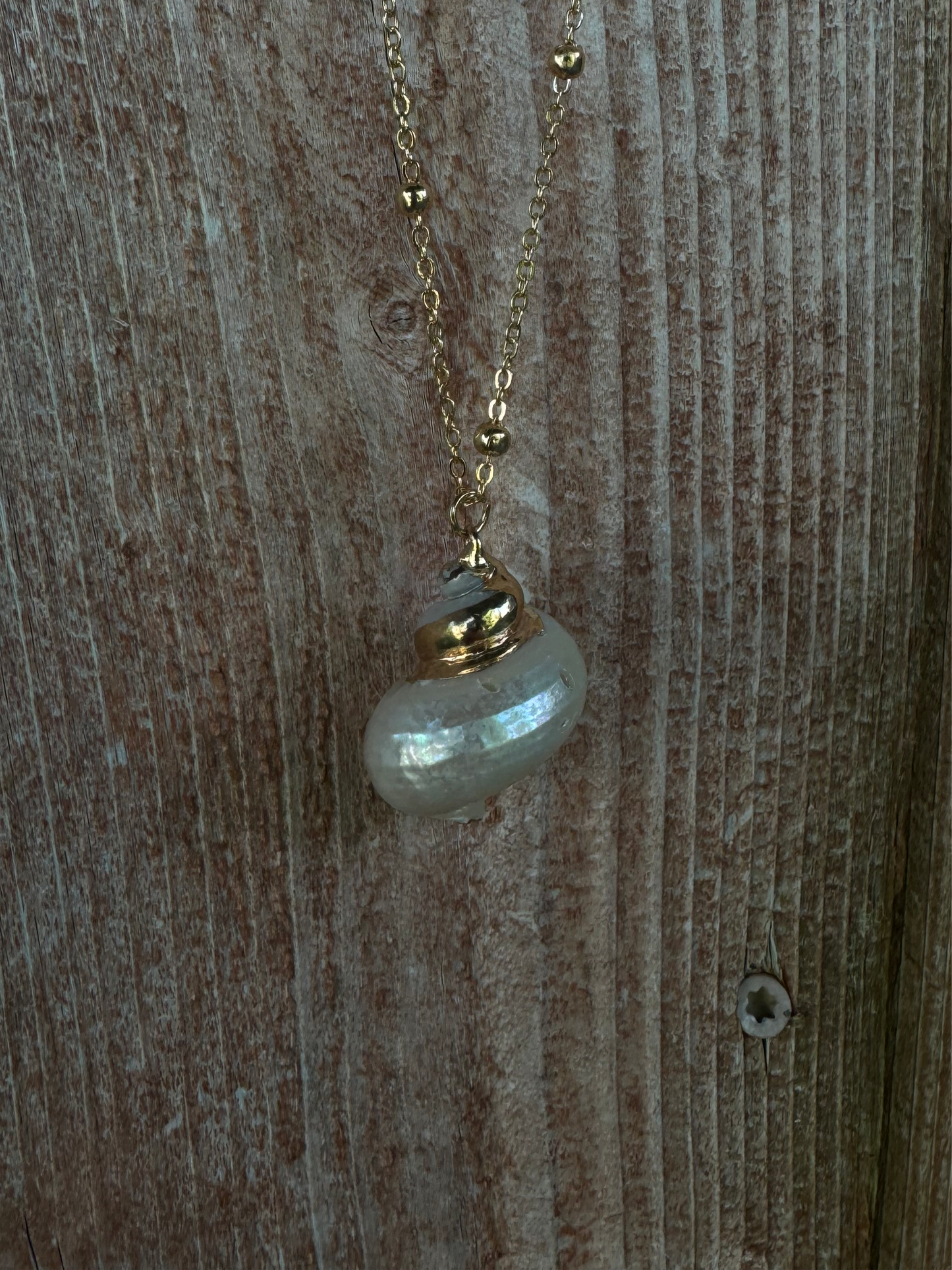 Gold Foil Mermaid Shell Necklace